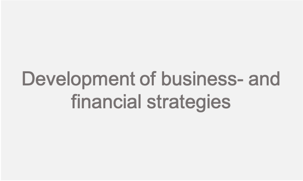 Development of business- and financial strategies