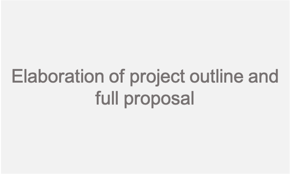 Elaboration of project outline and full proposal