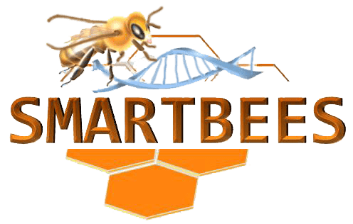 Smartbees logo